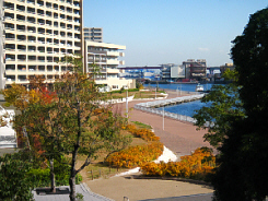 d0017632_15383989.jpg