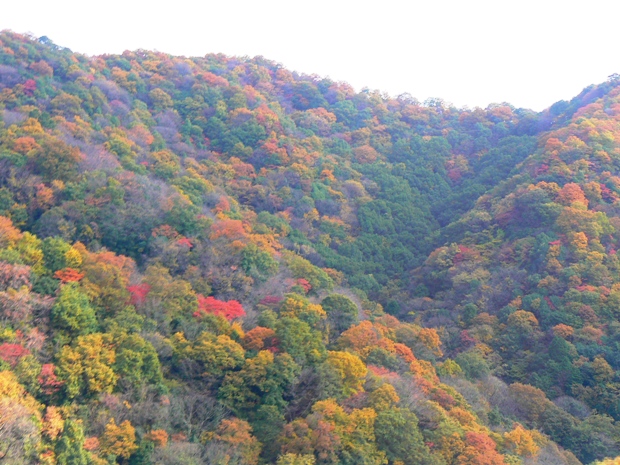 e0083238_23412164.jpg