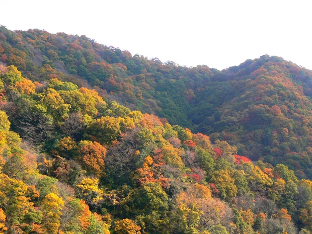 e0083238_23414739.jpg
