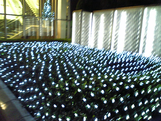 e0087443_115498.jpg