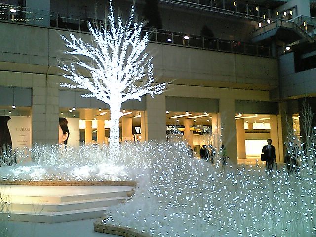 e0087443_134178.jpg