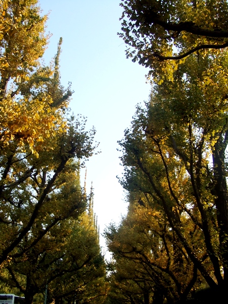 d0023346_1410511.jpg