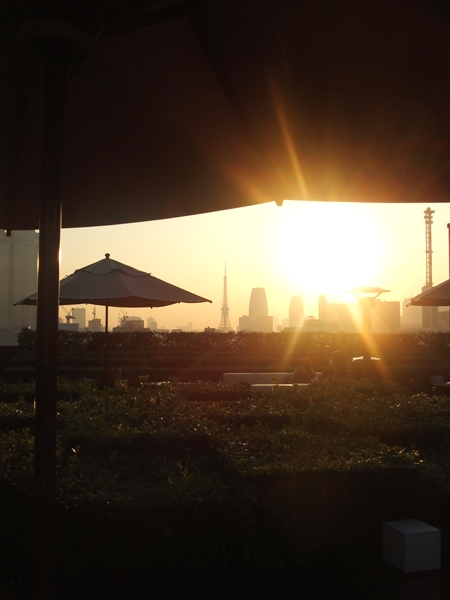 d0023346_14173821.jpg