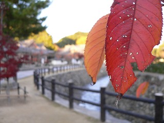 a0008549_21504928.jpg