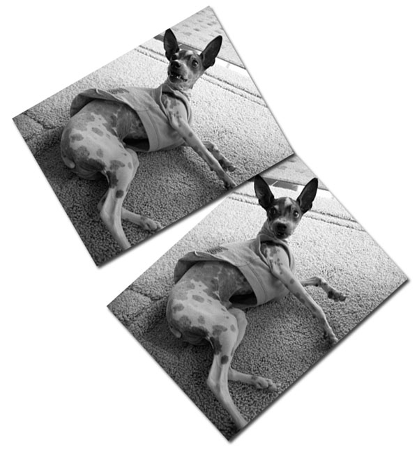 c0067449_1412840.jpg