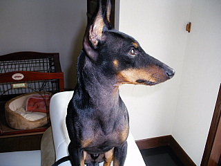 c0123149_1013234.jpg