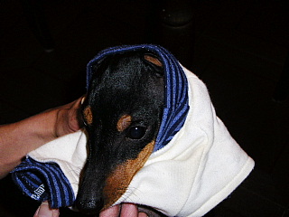 c0123149_1024479.jpg