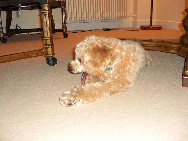 c0129852_3395858.jpg