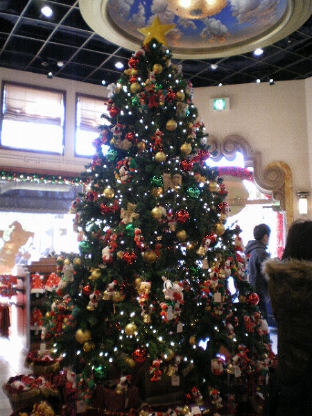 a0066258_2282029.jpg
