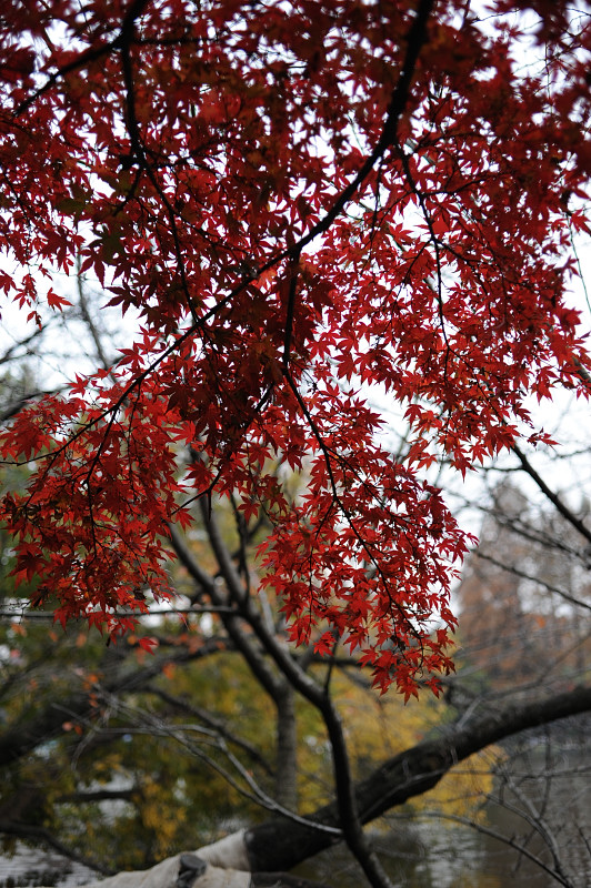c0084666_811741.jpg