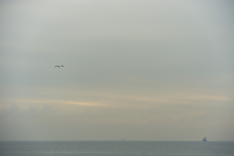 c0084666_8244630.jpg