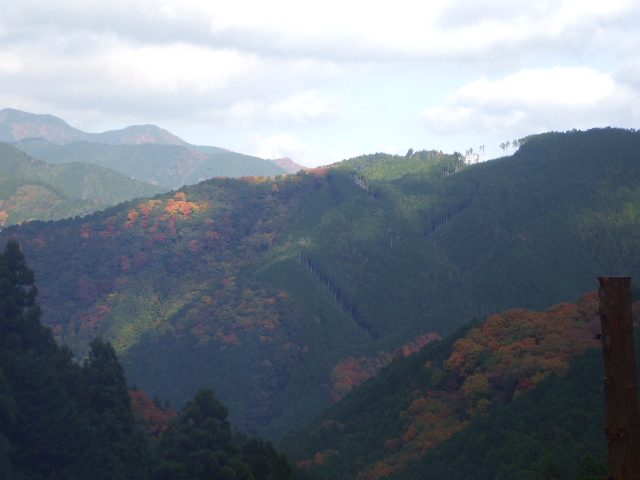 c0138868_1934139.jpg