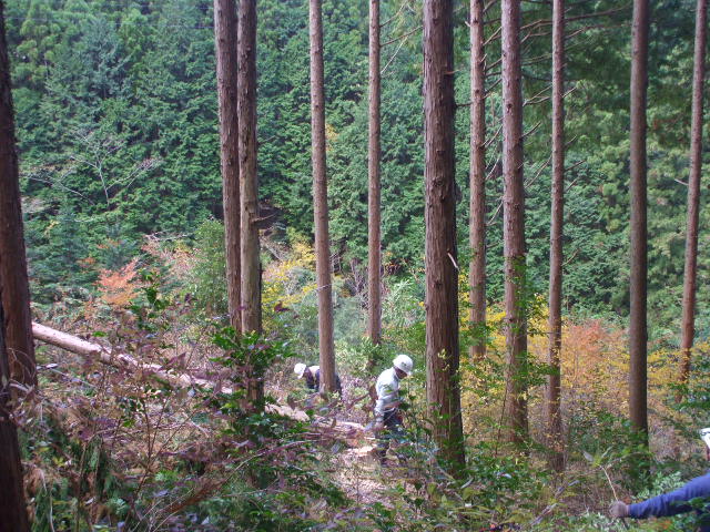 c0138868_1941937.jpg