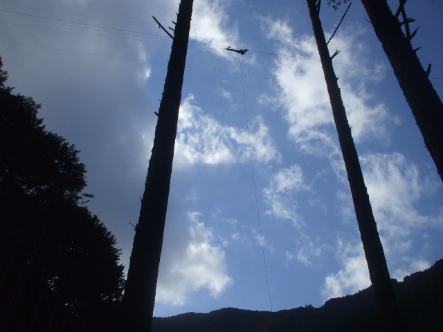 c0138868_19515.jpg