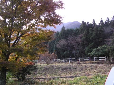 c0042869_1939501.jpg