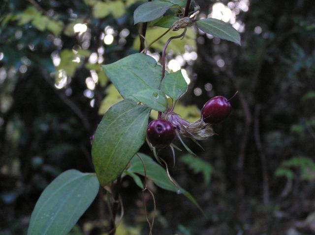 c0042869_19414782.jpg