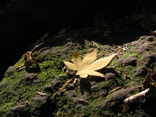 c0042869_19532399.jpg