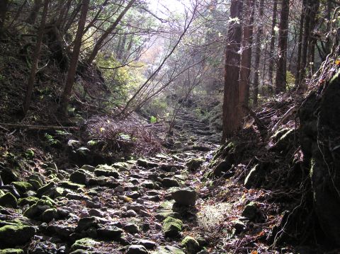 c0042869_1953396.jpg