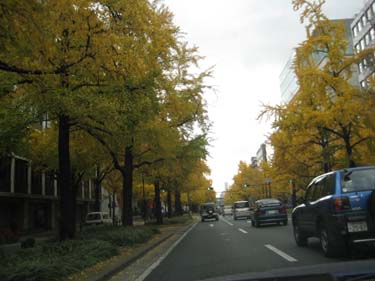 c0117570_204691.jpg