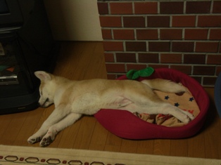 f0047870_8135360.jpg