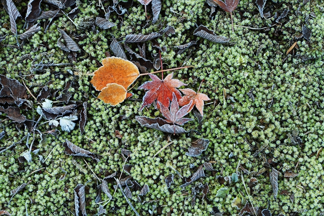 f0115475_1255072.jpg