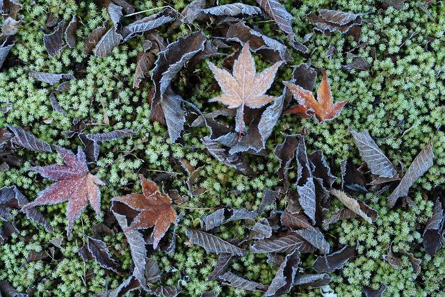f0115475_1257043.jpg