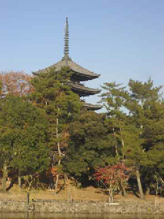 b0117276_18364681.jpg