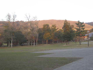 b0117276_18371834.jpg