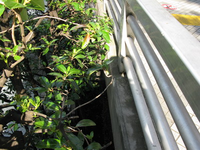a0002177_22291031.jpg