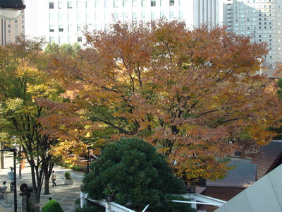 a0002177_22311095.jpg