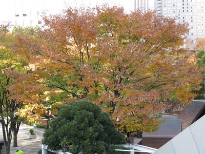 a0002177_22321380.jpg