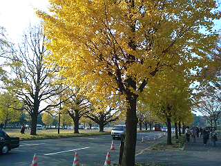 f0014183_12454197.jpg