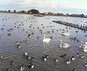 e0017290_758733.jpg