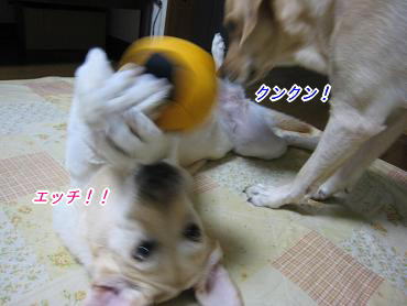 c0028792_2238928.jpg