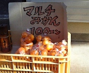 e0122194_20153816.jpg