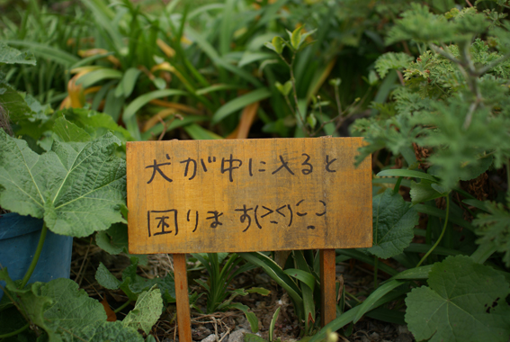 c0128197_21541759.jpg
