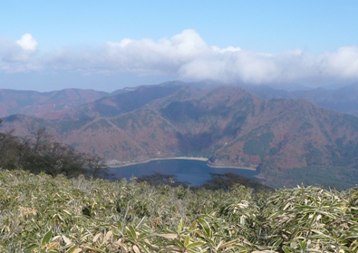 b0061798_20515095.jpg
