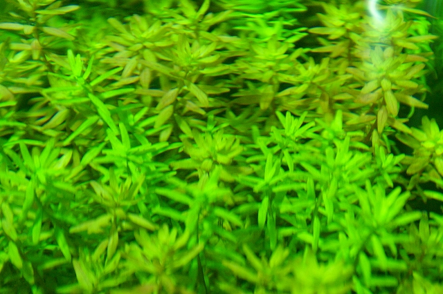 b0063999_012911.jpg