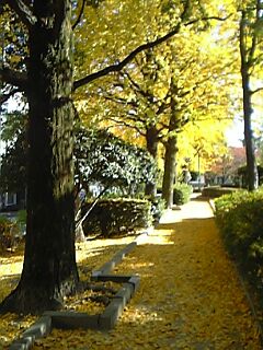 c0037701_21414293.jpg