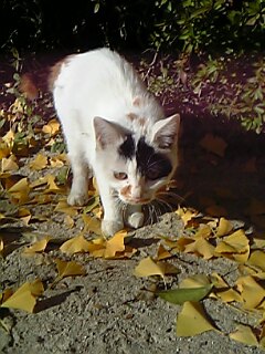 c0037701_21421362.jpg