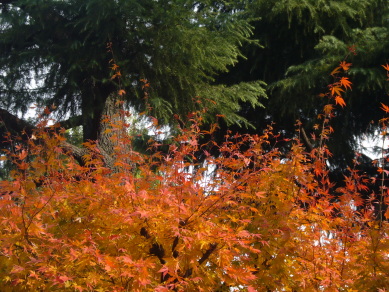 b0114403_2224586.jpg