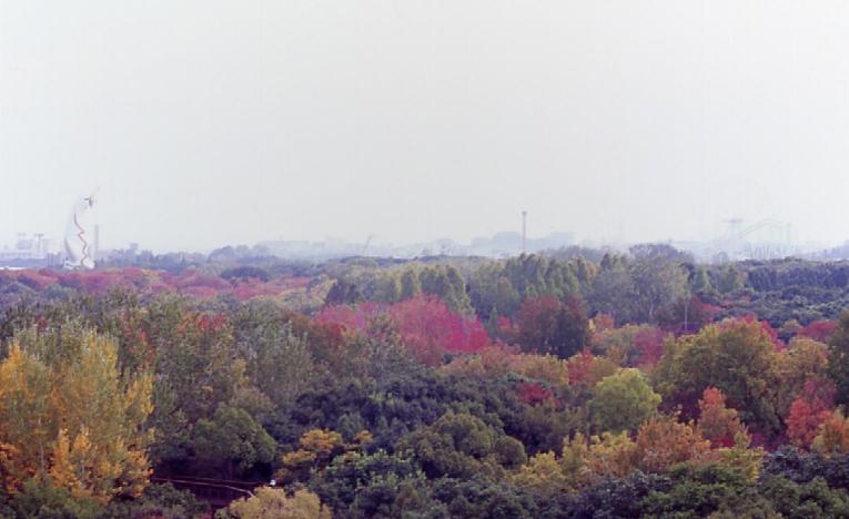 d0071507_5171387.jpg