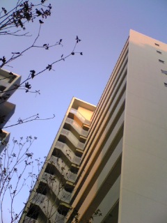 f0014209_2126271.jpg