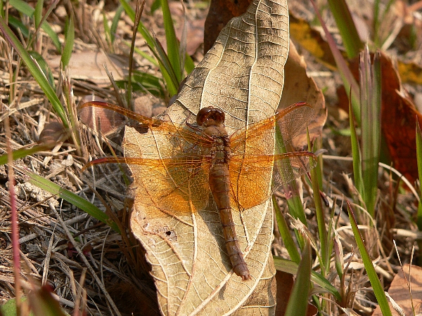 e0002314_15573157.jpg