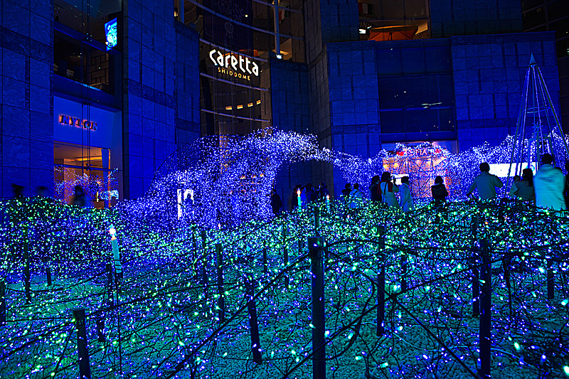f0014815_2235349.jpg
