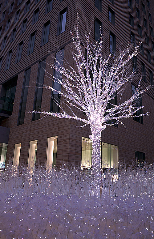 f0014815_23182873.jpg