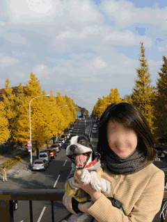 e0080117_235814.gif