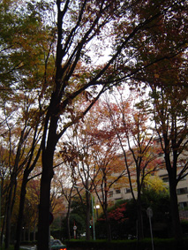 c0135618_23485844.jpg