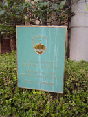 c0135618_23554229.jpg