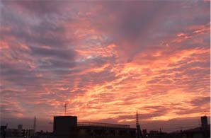 f0024419_18444967.jpg